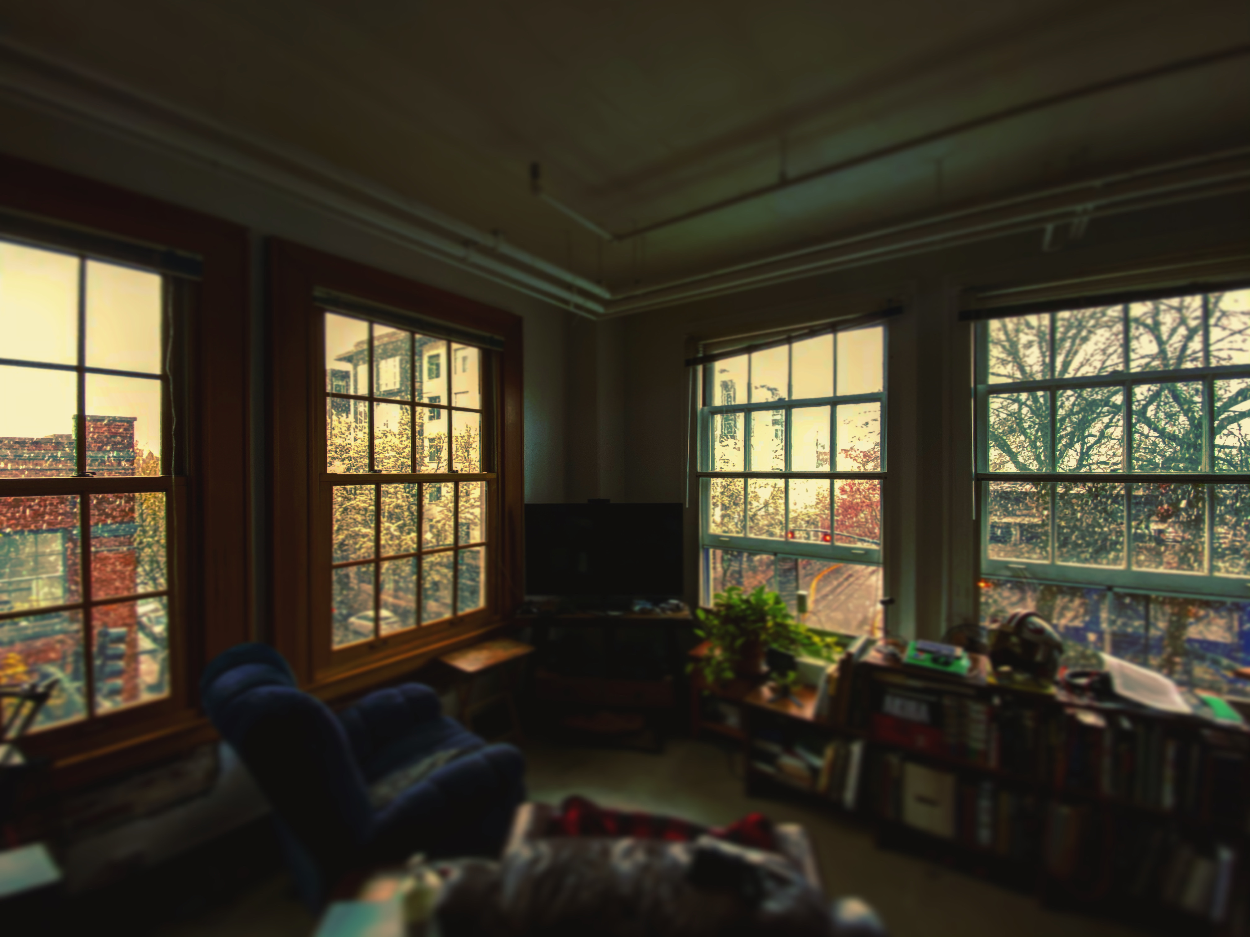 Snowy view from loft